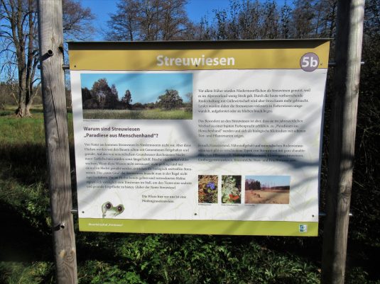 Moorlandschaft zwischen Amerang, Zillham und Halfing