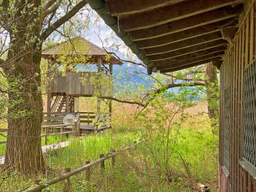 NatBeo-Station-187_118-0044-IW-Bernau-Felden-2019_05_07-Li-IMG_3442-2400pix