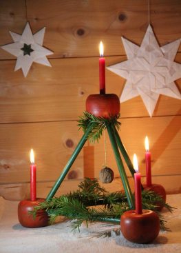 Paradeisl IMG_6184 (1)