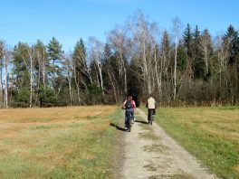 Moorlandschaft zwischen Amerang, Zillham und Halfing