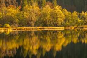 Reit im Winkl - Weitsee - Herbst 2