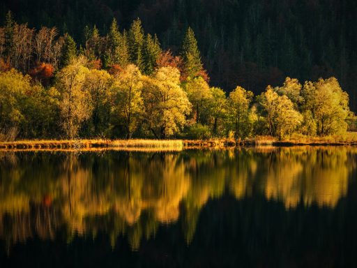 Reit im Winkl - Weitsee - Herbst 3