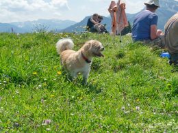 Viel_Platz_am_Gipfel