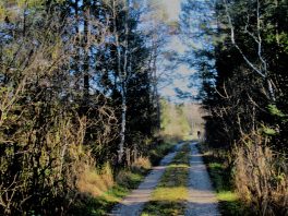 Moorlandschaft zwischen Amerang, Zillham und Halfing