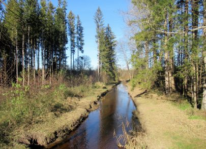 Moorlandschaft zwischen Amerang, Zillham und Halfing