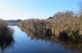 Moorlandschaft zwischen Amerang, Zillham und Halfing
