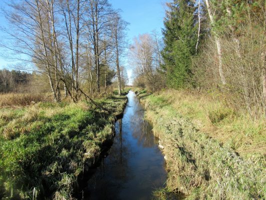 Moorlandschaft zwischen Amerang, Zillham und Halfing