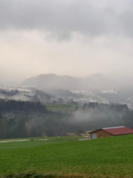 aedf6c4f-d858-4b59-9689-854c4689ec9f