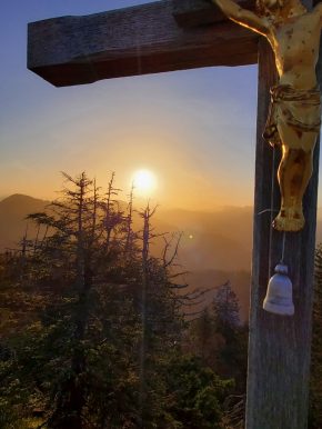 e5cf84e6-5e16-40ab-85a9-0f0e67d9bdc4