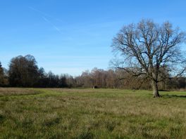 Moorlandschaft zwischen Amerang, Zillham und Halfing