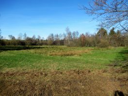 Moorlandschaft zwischen Amerang, Zillham und Halfing
