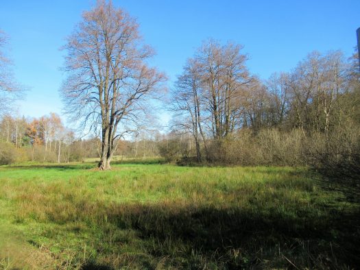 Moorlandschaft zwischen Amerang, Zillham und Halfing