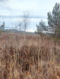 03958968-5dde-4c07-a780-19f338e313c2