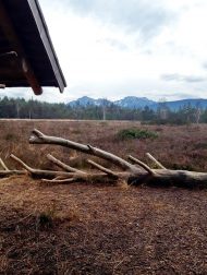 0aac011a-0261-434f-997b-382197ab8e8f