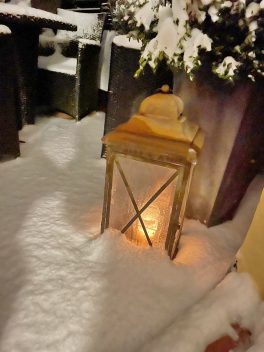 10cd3ed4-56e9-42cc-8be2-dc8c22a48139