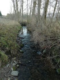 19551e42-1cb1-4eea-b3c0-f7d20ad4b57b