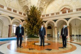 20201211-christbaum-spender-8707-scaled