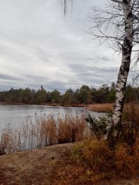 30e23556-b4b6-4269-b640-d80ccd097a9c