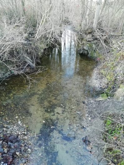 4329f260-9431-4048-a8e2-c58e2c879c8f