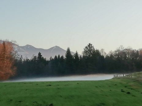 52faf0b4-4933-483c-9781-64657a1d646e