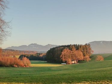 7525870a-9f12-4041-9576-68210e939d3b