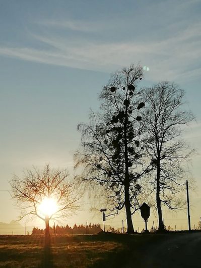 7862ee85-c0f7-43ed-b65e-9c1613c9b941