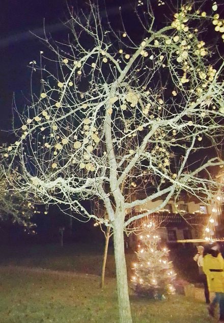 Hammerschmiede leuchtete 2020-5