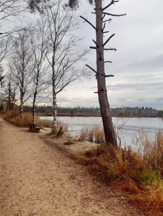 abb27ac1-8a0c-4d13-b719-717f520c77d4