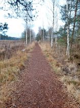 bc2e1bd6-e26b-4940-9ee7-3db0b9388a36