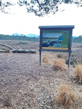 c4577dc0-e4e8-424d-a52a-ab23dbd2b100