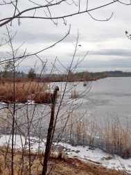 c9931631-6195-44dd-83ab-c0bca1e9f42b