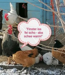 kl-6d6214a0-3688-4df7-b368-411a4ac87bc3