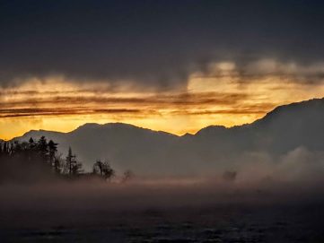 kl-IMG_20201201_070916~2