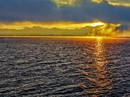 kl-IMG_20201201_080236~2