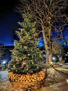 kl-IMG_20201204_172157~2