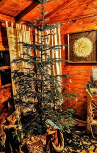 kl-IMG_20201204_172642~2