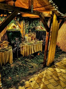 kl-IMG_20201204_173018~2