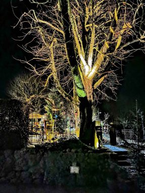 kl-IMG_20201204_173247~2