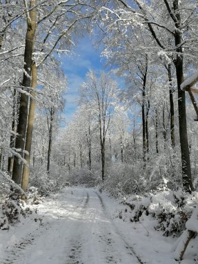 0180d5ca-4db6-49d8-a75f-8b833cb2d370