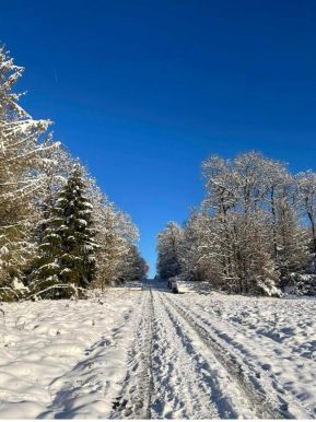 23bd4a06-7c9b-43c7-b29e-3d948cea9fe5