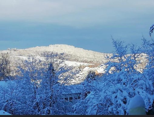 38501770-4527-4e91-97dc-aab301d25107