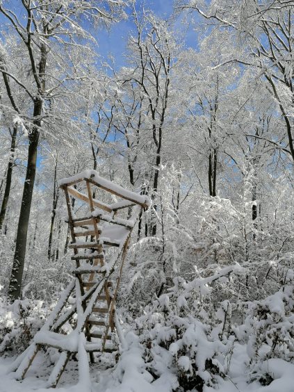 3a26d457-bd4e-4820-9235-4b65879d9773