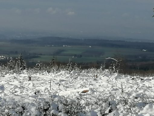 3fb79d3a-403e-4071-9243-b676b3506f90