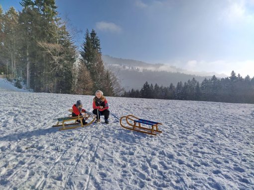 42358bfa-73f9-4465-b18c-c975857ccaab