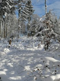 47002730-c609-49af-9c18-1a07f9d414e6