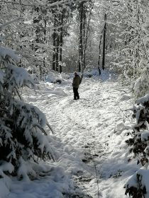 642d691d-3566-41dd-a5e3-cd810294c0f4