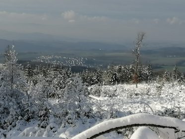 997d3819-d910-495d-9a41-29826a6ac140