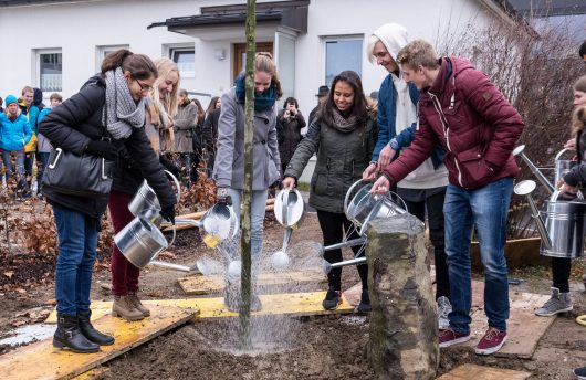 Eichenpflanzung am JHG 2015-11 Foto Franz Kimmel