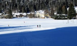 Loipenbericht Sachrang