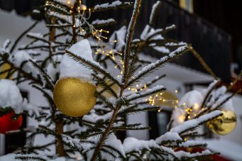 Schneeimpressionen-1200034